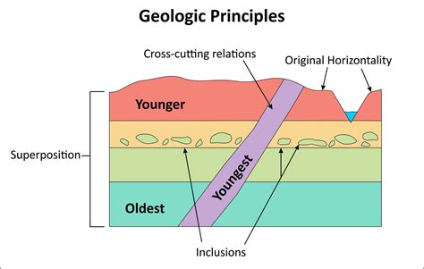 cross cutting rock layers.